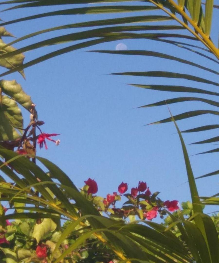 Spiritual Luxury 4br Pool&roofterrac Getsemani New Villa