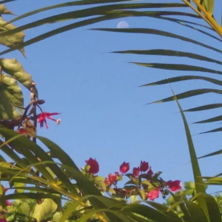 Spiritual Luxury 4br Pool&roofterrac Getsemani New Villa