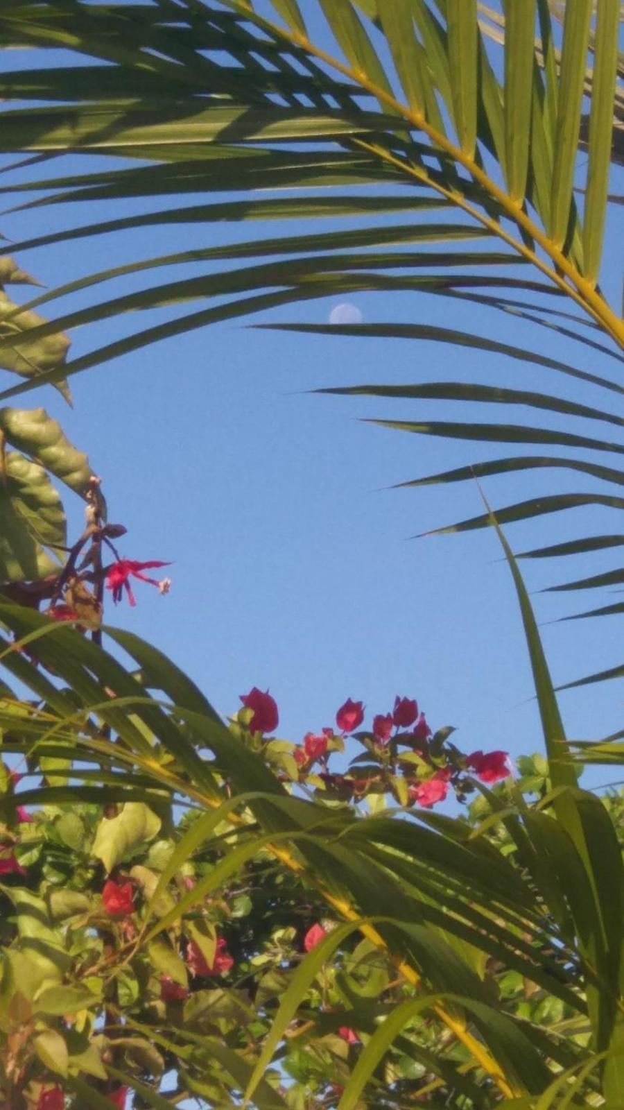 Spiritual Luxury 4br Pool&roofterrac Getsemani New Villa